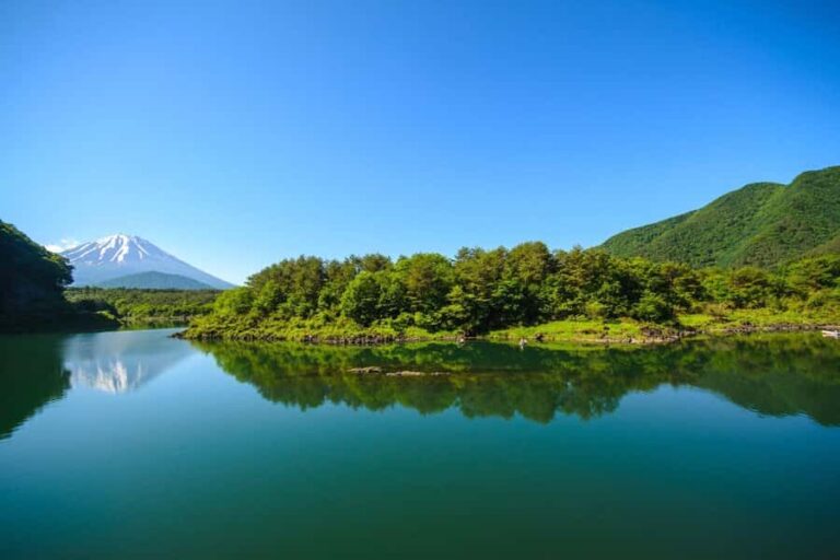 Mt. Fuji Private Day Tour: Luxury Car, Pagoda & Hidden Gems - Whats Included, Whats Not, and Why It Matters
