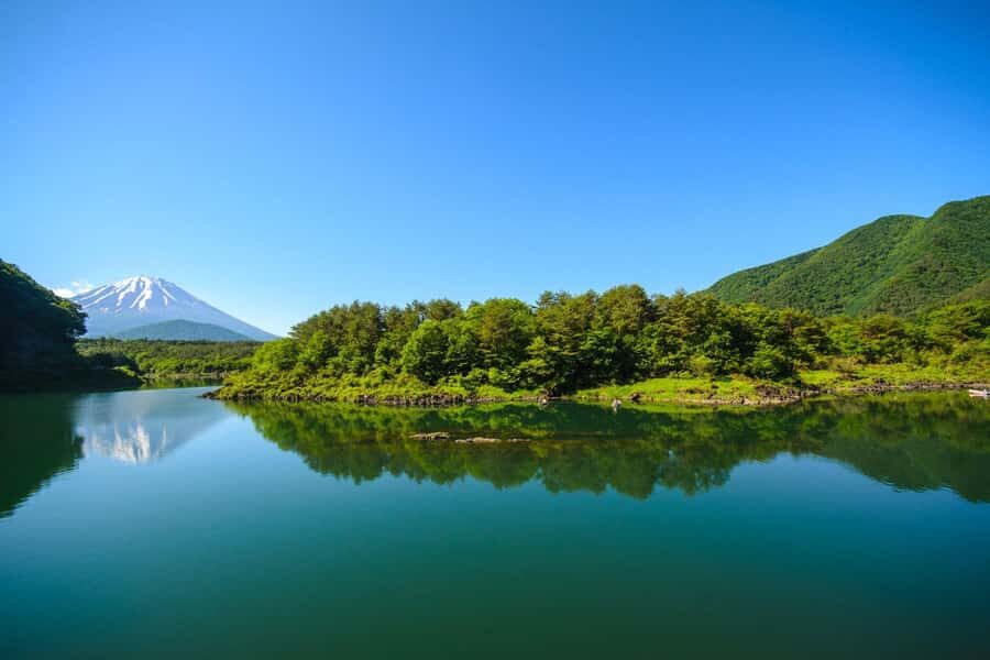 Mt. Fuji Private Day Tour: Luxury Car, Pagoda & Hidden Gems - Whats Included, Whats Not, and Why It Matters