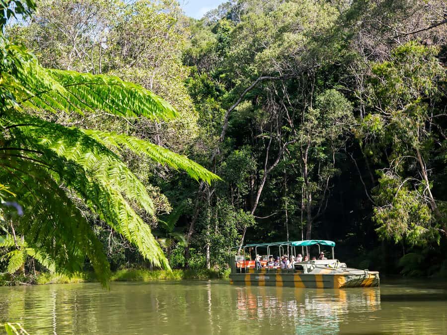 N. Queensland: Kuranda Rainforest Full-Day Tour - Who Should Consider This Tour?