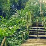 Nadi: Garden Village Hot Spring & Temple Highlights Tour - In-Depth Breakdown of the Itinerary