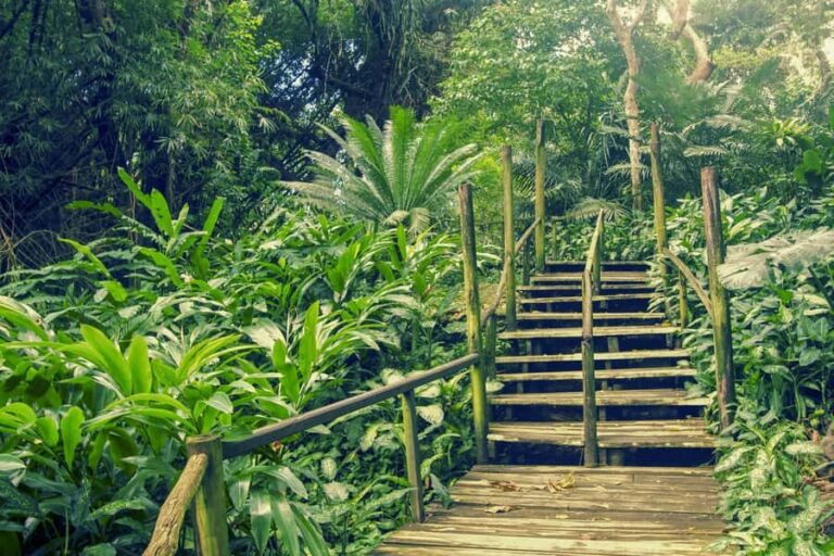 Nadi: Garden Village Hot Spring & Temple Highlights Tour - In-Depth Breakdown of the Itinerary