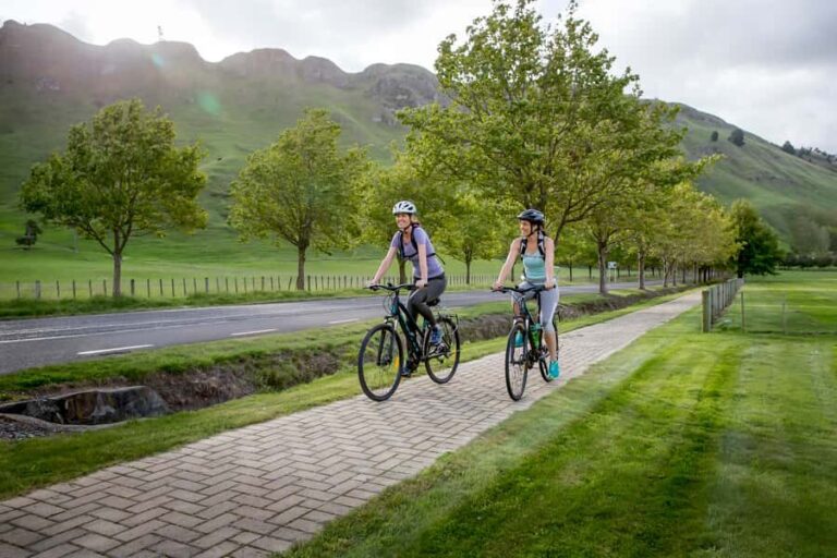 Napier: Cape Coast Winery Tour on E-Bikes - Wineries: A Flavorful Journey