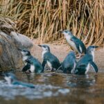 National Aquarium of New Zealand in Napier General Admission - The Value for Money