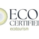 Natural Bridge Glow Worm Night Tour from Gold Coast - Final Thoughts