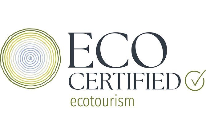 Natural Bridge Glow Worm Night Tour from Gold Coast - Final Thoughts