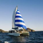 Nelson Bay: Dolphin Watch Cruise and Sail - The Itinerary: What Will You Experience?