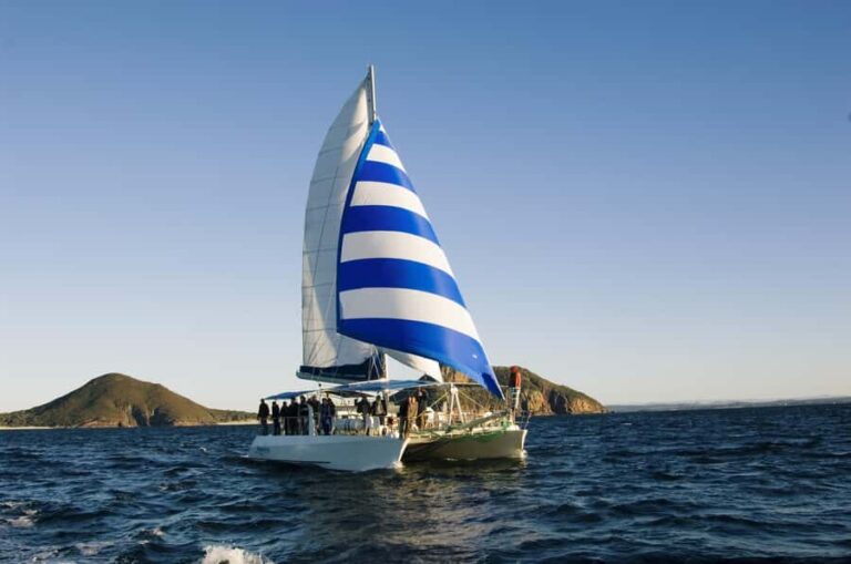 Nelson Bay: Dolphin Watch Cruise and Sail - The Itinerary: What Will You Experience?