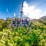 Nelson: Cable Bay Adventure Park Skywire Experience - The Ride: Speed, Safety, and Scenery