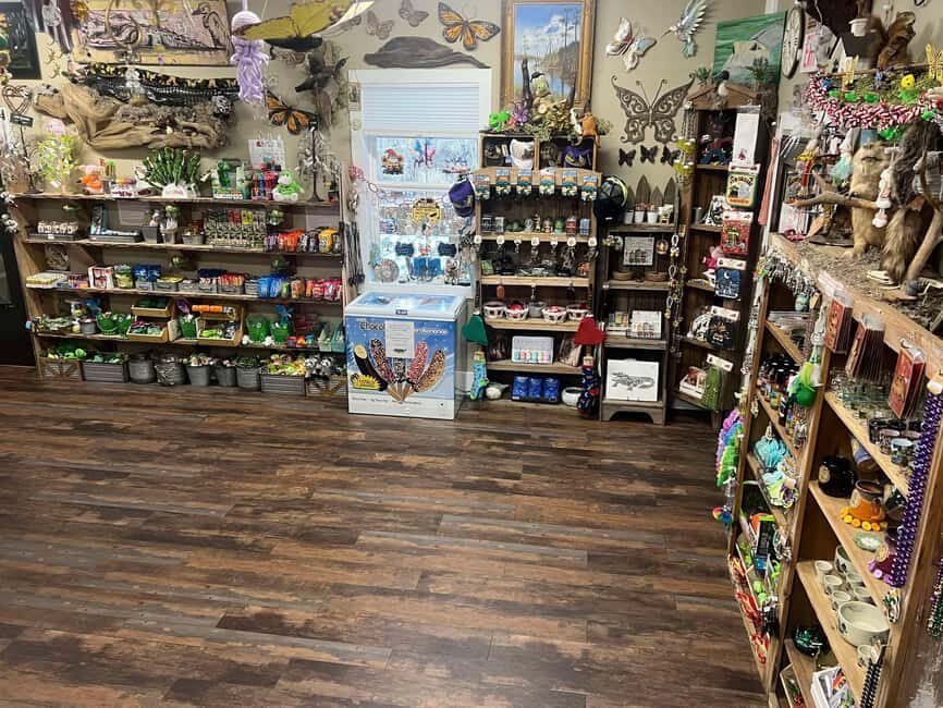 New Orleans Manchac Bayou Swamp Cruise W/ Optional Pick-Up - Your 1.5-Hour Manchac Bayou Boat Cruise: Cypress, Moss, and Wildlife