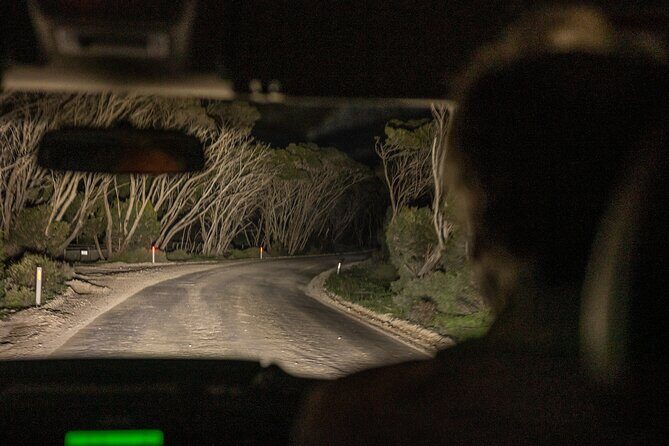 Nocturnal Tour of Kangaroo Island - Frequently Asked Questions