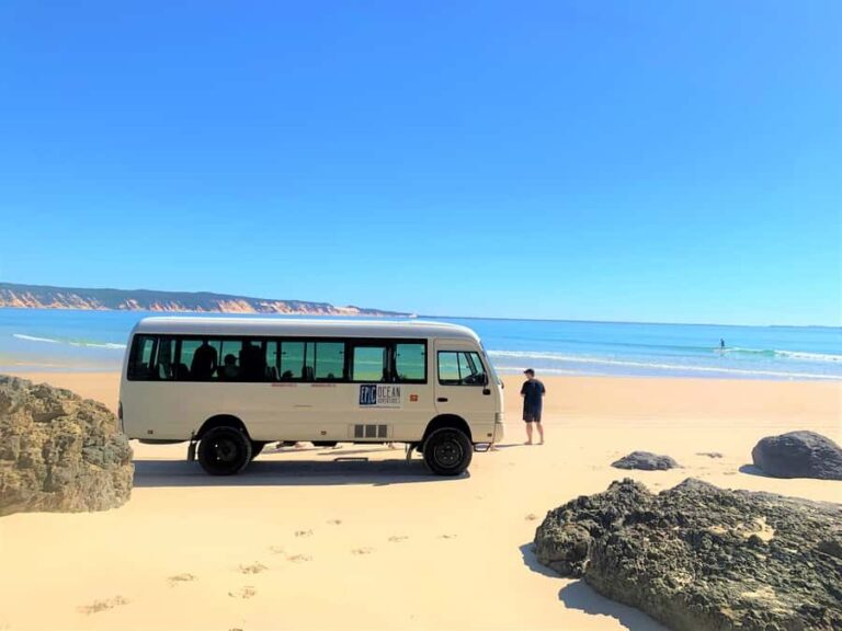Noosa: Epic Learn to Surf Safari 4x4 - Double Island Point - Who This Tour Is Best For