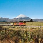 Northern Explorer Train Journey from Wellington to Auckland - Who Is This Tour Best For?