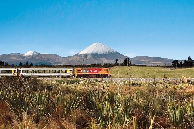 Northern Explorer Train Journey from Wellington to Auckland - Who Is This Tour Best For?