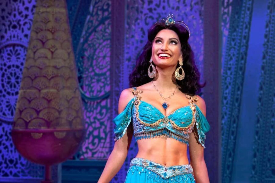 NYC: Aladdin the Musical on Broadway - Price and what $83 really buys you
