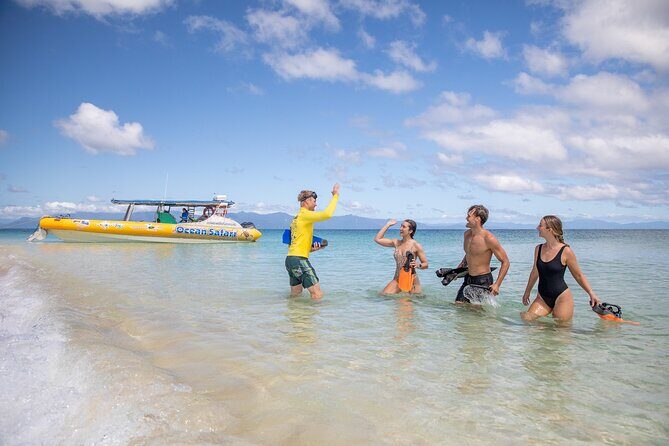 Ocean Safari Great Barrier Reef Experience in Cape Tribulation - The Value of This Tour
