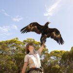 One Day Kangaroo Island Sip & See tour with return ferry transfers from Adelaide - The Value of This Tour