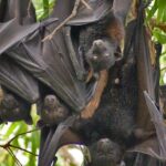 Ord River Explorer Cruise with Sunset - The Itinerary Breakdown