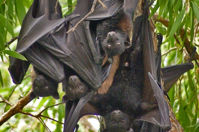 Ord River Explorer Cruise with Sunset - The Itinerary Breakdown