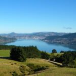 Otago Peninsula Scenery and Dunedin City Highlights Tour - What the Reviews Say
