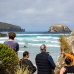 Otago Peninsula Wildlife Tour & Cruise - What the Reviews Say: Authentic Perspectives