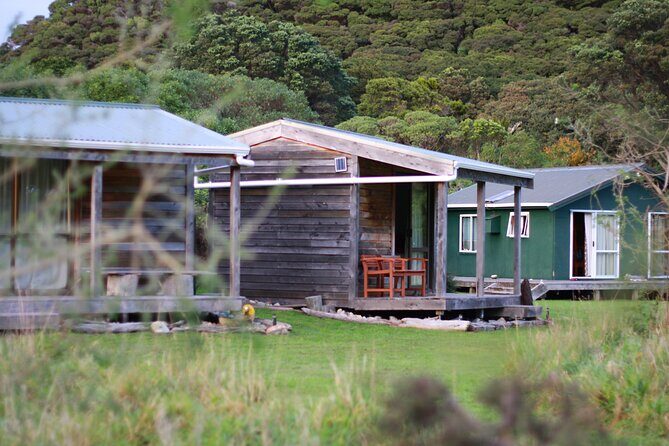 Overnight Experience Tour on Kapiti Island - Who Would Love This Tour?
