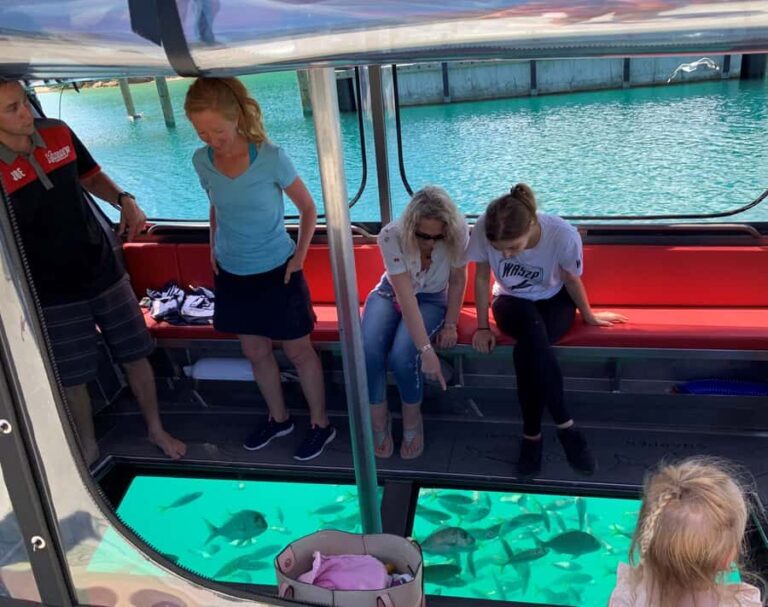 Paihia: Glass Bottom Boat Tour to the Hole in the Rock - What to Expect on the Tour