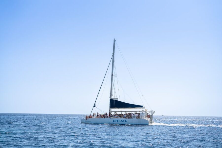 Palma: Catamaran Cruise with Swimming and Snorkelling - Price and value: what you’re really paying for
