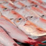 Papeete Food & City Tour - Final Thoughts: Is This Tour Right for You?