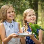 Paradise Country: Ultimate Aussie Farm Experience - What to Expect During Your Visit