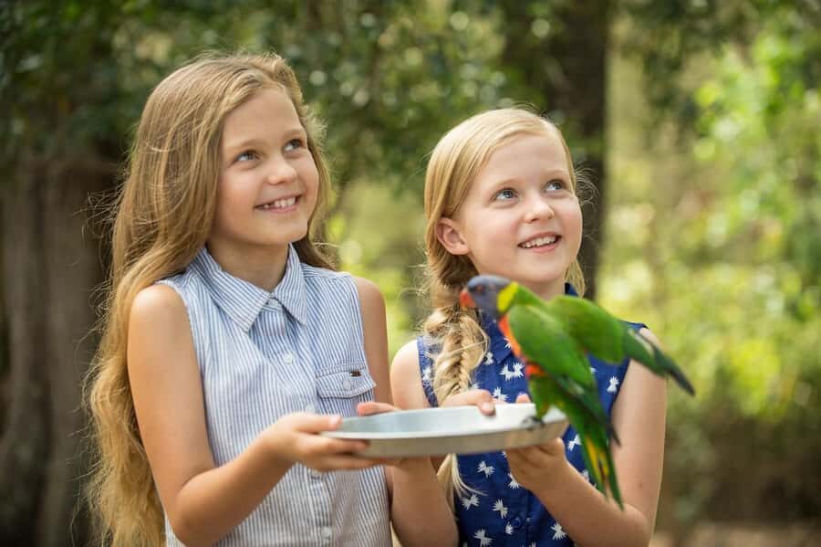 Paradise Country: Ultimate Aussie Farm Experience - What to Expect During Your Visit