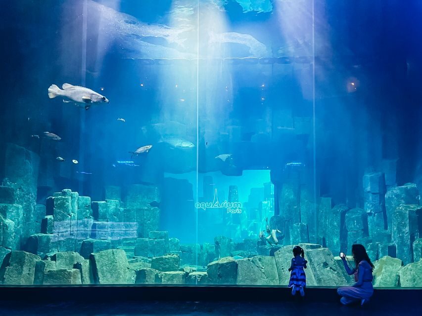 Paris: Aquarium de Paris Entrance Ticket - Tickets, starting times, and that 29-minute booking window