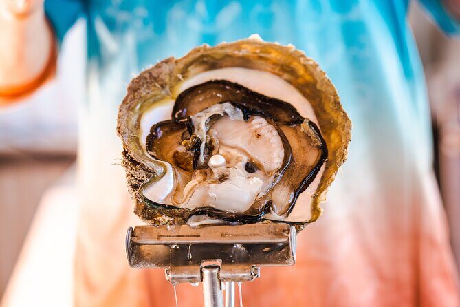 Pearls & Coast: 35-Minute Helicopter Flight & Willie Creek Tour - Final Thoughts: Is This Tour Right for You?