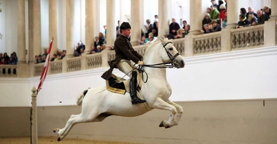 Performance Of The Lipizzans At Spanish Riding School - The Baroque Winter Riding School: more than a backdrop