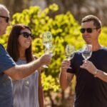 Perth: Swan Valley Half-Day Wine Tour - Small Group Experience - The Sum Up