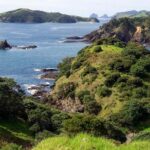 Phantom Sailing Bay of Islands - A Closer Look at the Phantom Sailing Experience