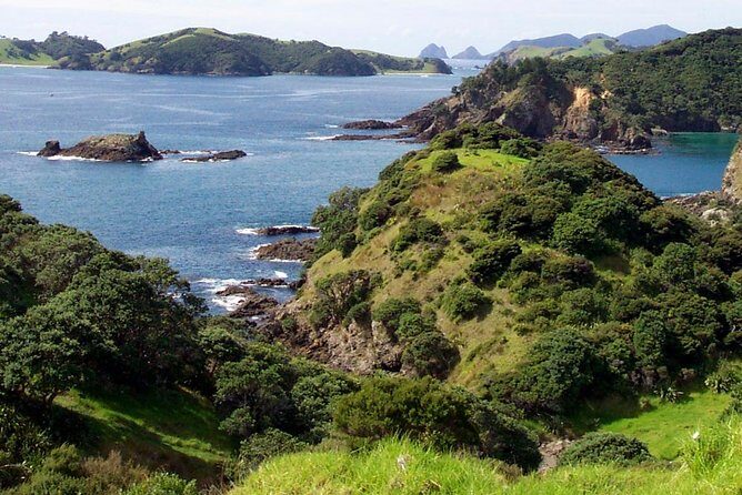 Phantom Sailing Bay of Islands - A Closer Look at the Phantom Sailing Experience