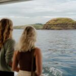 Philip Island: Seal Watching Cruise - Why This Tour Stands Out