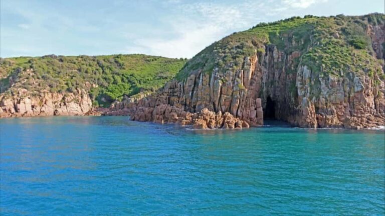 Phillip Island: 1-Hour Cape Woolamai Scenic Cruise - The Highlights: Nature, Comfort, and Value