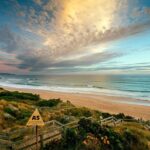 Phillip Island Penguin Parade Day Trip with Koalas from Melbourne - A Few Considerations