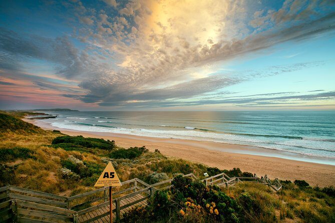 Phillip Island Penguin Parade Day Trip with Koalas from Melbourne - A Few Considerations