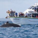 Phillip Island Whale Watching Tour - Final thoughts
