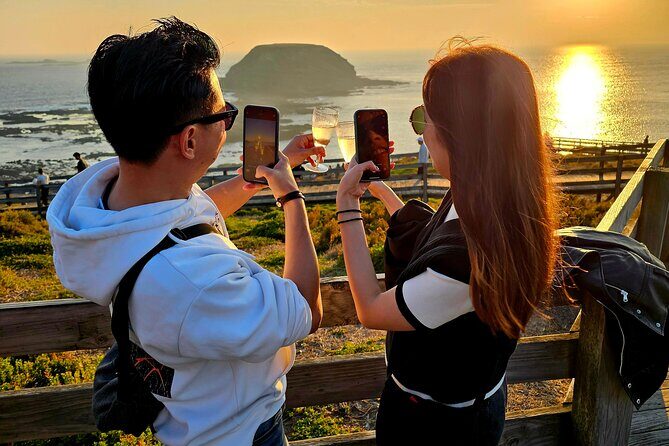 Phillip Island Wildlife Cruise and Penguin Tour from Melbourne - Frequently Asked Questions