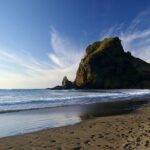 Piha Waitakere Rainforest Wine Tour from Auckland - The Wine and Food Experience