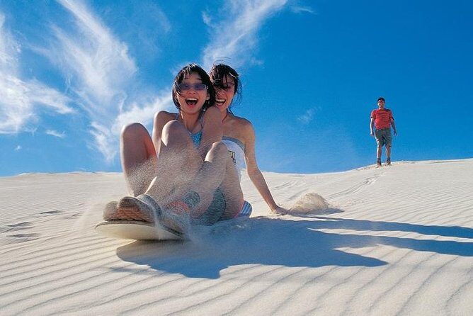 Pinnacles Desert, Koalas and Sandboarding 4WD Day Tour from Perth - Our Honest Take on the Value