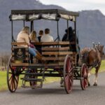 Pokolbin: Harvest the Hunter Horse Drawn Carriage Tour 3hrs - Who Is This Tour Best Suited For?