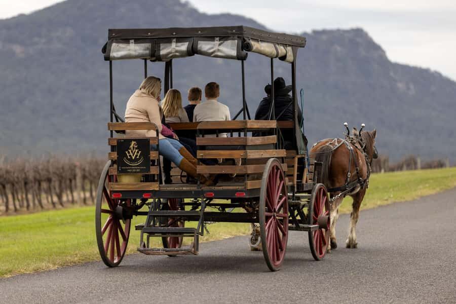Pokolbin: Harvest the Hunter Horse Drawn Carriage Tour 3hrs - Who Is This Tour Best Suited For?