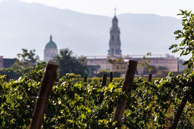 Pompeii Vineyard Escape: Private Wine Tasting & Lunch - Where you meet and how the logistics work