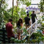 Port Douglas: Afternoon Daintree Tour w/ Wildlife Cruise - How Does it Value?