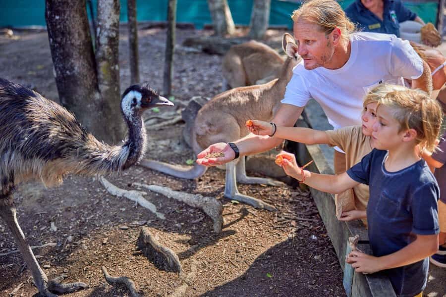 Port Douglas: Breakfast with the Birds - The Setting and Atmosphere