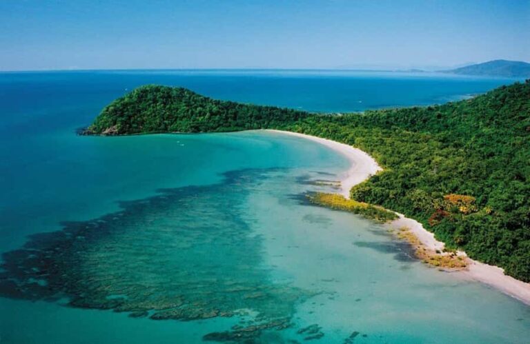 Port Douglas: Daintree Rainforest and Mossman Gorge Tour - Cape Tribulation and Noah Valley